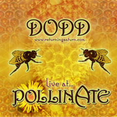 Live At Pollinate