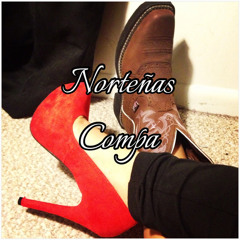 Corridos Nortenos Mixx