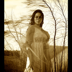 open letter remix by gina montana