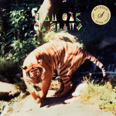I am Oak - We Are Sound