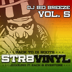 Str8Vinyl Vol V mixed by Big Breeze