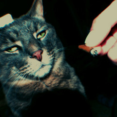 Part 1. Chillwave / Dream Tech