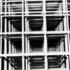 Mayakov+sky Platform - The Riemannian Eyes (Anti-Cicadas) (from gradual clarity to mass alacrity)