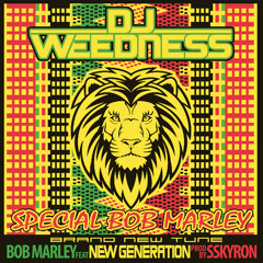 Dj Weedness - Tribute to Bob Marley Mix (May 2013)
