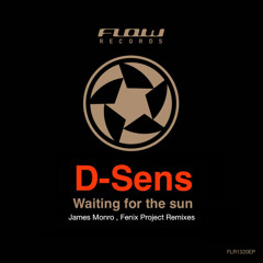 D-sens - Waiting for the sun