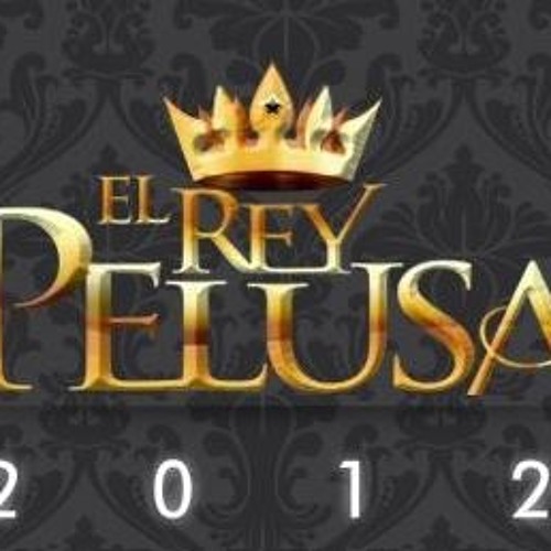 Stream El Rey Pelusa en vivo en Noche y Dia Cadena 3 by kingoo | Listen  online for free on SoundCloud