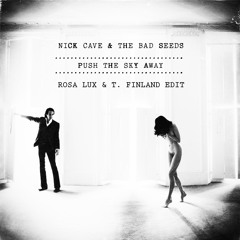 Nick Cave and the Bad Seeds - Push the sky (Rosa Lux & T. Finland Edit)
