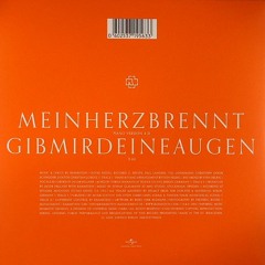 Gib Mir Deine Augen (instrumental Demo Version)