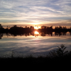 Tabula-Rasa in a mad World