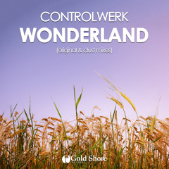 Controlwerk - Wonderland (Clust Remix)