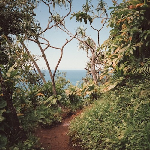 S-A-P 032 // Stu Robinson aka ASOK [Scenery Records]