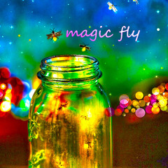 Suburban Delay - Magic Fly