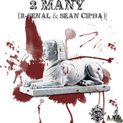 2 Many Rapperz(Prod. By Arm Fall Off Boy)