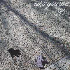 Who You Are(prod. D Nilsz)