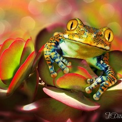 Projekt Rauschklang Psy-Trance Set Mai 2013 (wav)