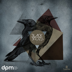 Black Birdz, Middletoyz, Royal Flush - Don't Look Back (Original Mix) preview