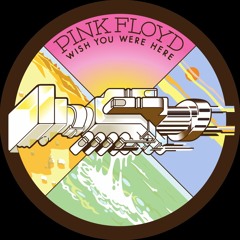 Pink Floyd - wish you were here - my new 12string Testdrive