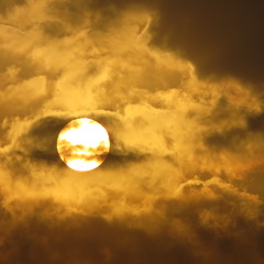 Crisis - Leonardo Zapata - 2009