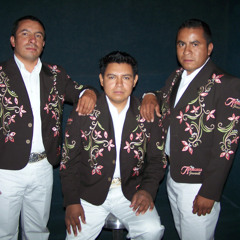La Vereda - Trio Armonía Juvenil