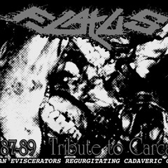 FLATUS Live @ Obscene Extreme Fest (AU), 12/4/13 "EXHUME TO CONSUME"