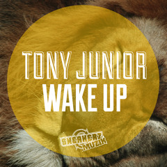 Tony Junior - Wake up [TEASER] [AVAILABLE ON BEATPORT JUNE 3]