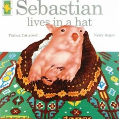 Sebastian lives in a hat