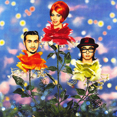 Deee-Lite Sampladelic Megamash