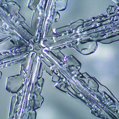 Cold Noise (Original Mix)