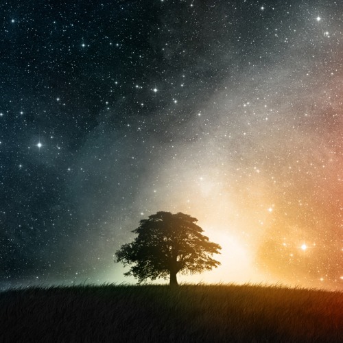 Jah Universe Dub