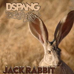 Dspang & Beaturn - JACK RABBIT [FREE DL]