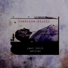 Yeni Türkü - Deliler (roadside.picnic remix)