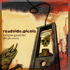Hariçten Gazelciler - Deli Gibi (roadside.picnic remix)