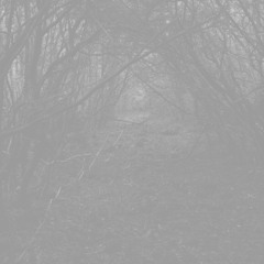 The Silver Forest
