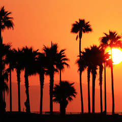 Summa summa summatime! 2012