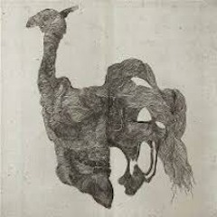 Trk-1 lower lifeform