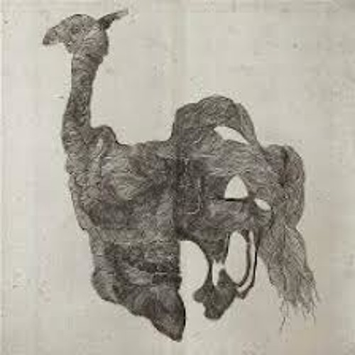 Trk-1 lower lifeform