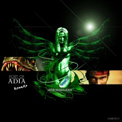 Jaed Marauder-Turok 2 Seeds of Evil (Port of Adia) Remix