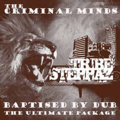 Criminal Minds Meets Tribe Steppaz - Baptised by Dub PROMO EDITS