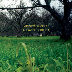 Matthew Vincent - "Wicked Thirst"