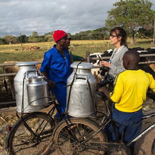 Global Activism: World Bicycle Relief