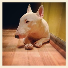 Memoria de Justino/Remix