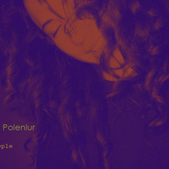 Melisa Poleniur - Don't Disturb
