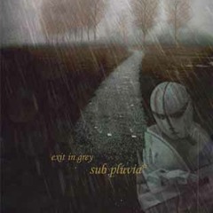 exit in grey - sub pluvia - ph07