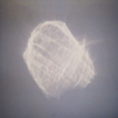 Benoît Pioulard - Cycle Disparaissant (Window Magic Reimagining)