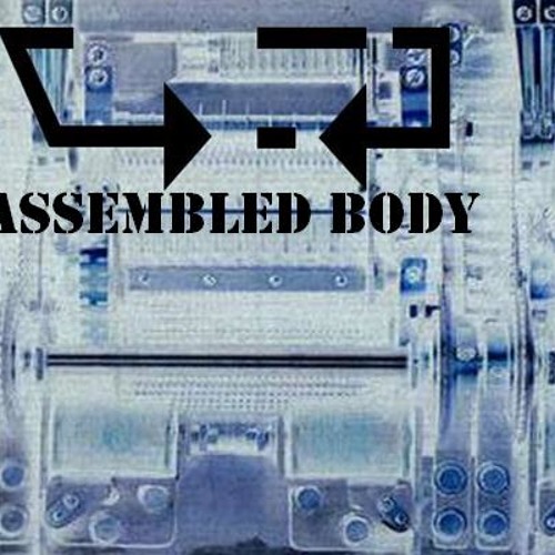 [Assembled Body] - Digital Error