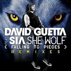 Dd Guetta Ft. Sia   She Wolf (Caglar Sahin  Furkan Soysal Mix 2k13) HD