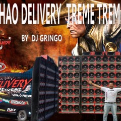 02 caminhao delivery treme treme vol 1  by dj gringo 2013