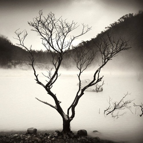 The Drones - Free Download