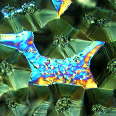 Terrence Parker - House ghost (1996)