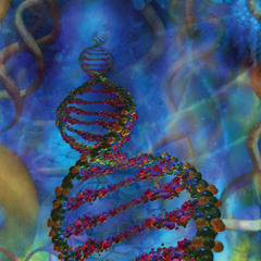 Cellular Lifeform(s)